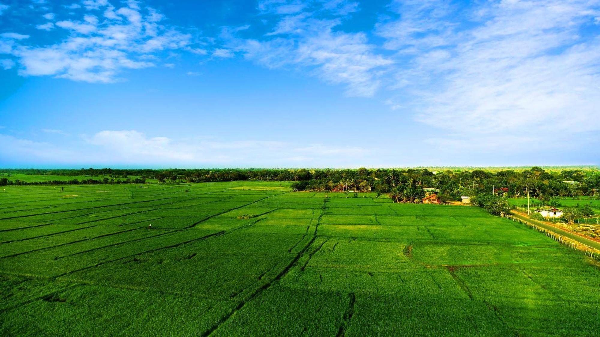 Avonil Resort Yala Tissamaharama Exteriér fotografie